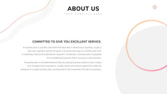 Company Profile Infographics slide 3