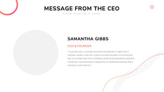 Company Profile Infographics slide 4