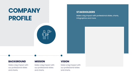 Company Profile Infographics