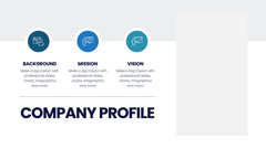 Company Profile Infographics slide 6