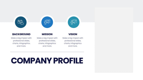 Company Profile Infographics