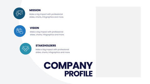 Company Profile Infographics