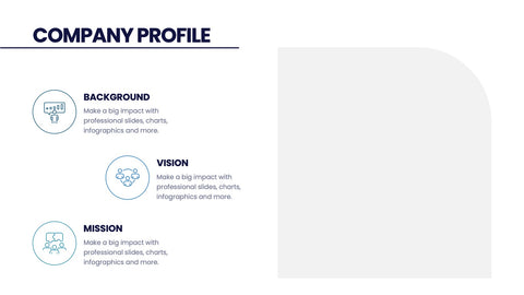 Company Profile Infographics