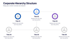 Corporate Hierarchy Structure Presentation slide 4