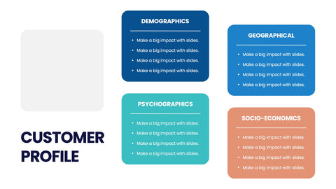 Customer Profile Infographics