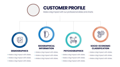 Customer Profile Infographics