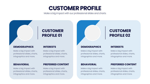 Customer Profile Infographics