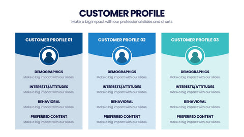 Customer Profile Infographics