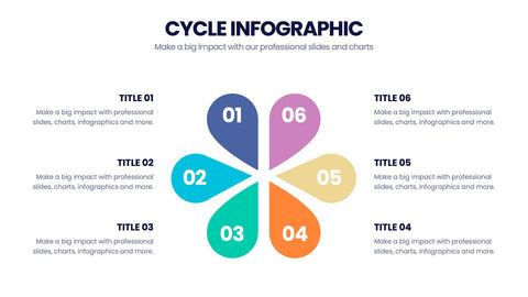 Cycle Infographics