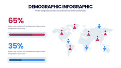 Demographic Infographics slide 13