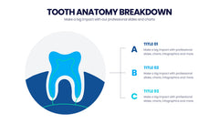 Dental Infographics slide 2