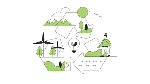 Ecology Illustrations Pack