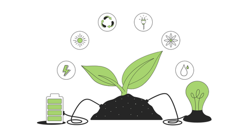 Ecology Illustrations Pack