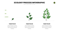 Ecology Infographics slide 11