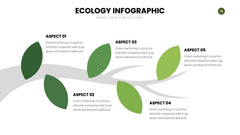 Ecology Infographics slide 16