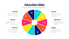 Education Infographics slide 17