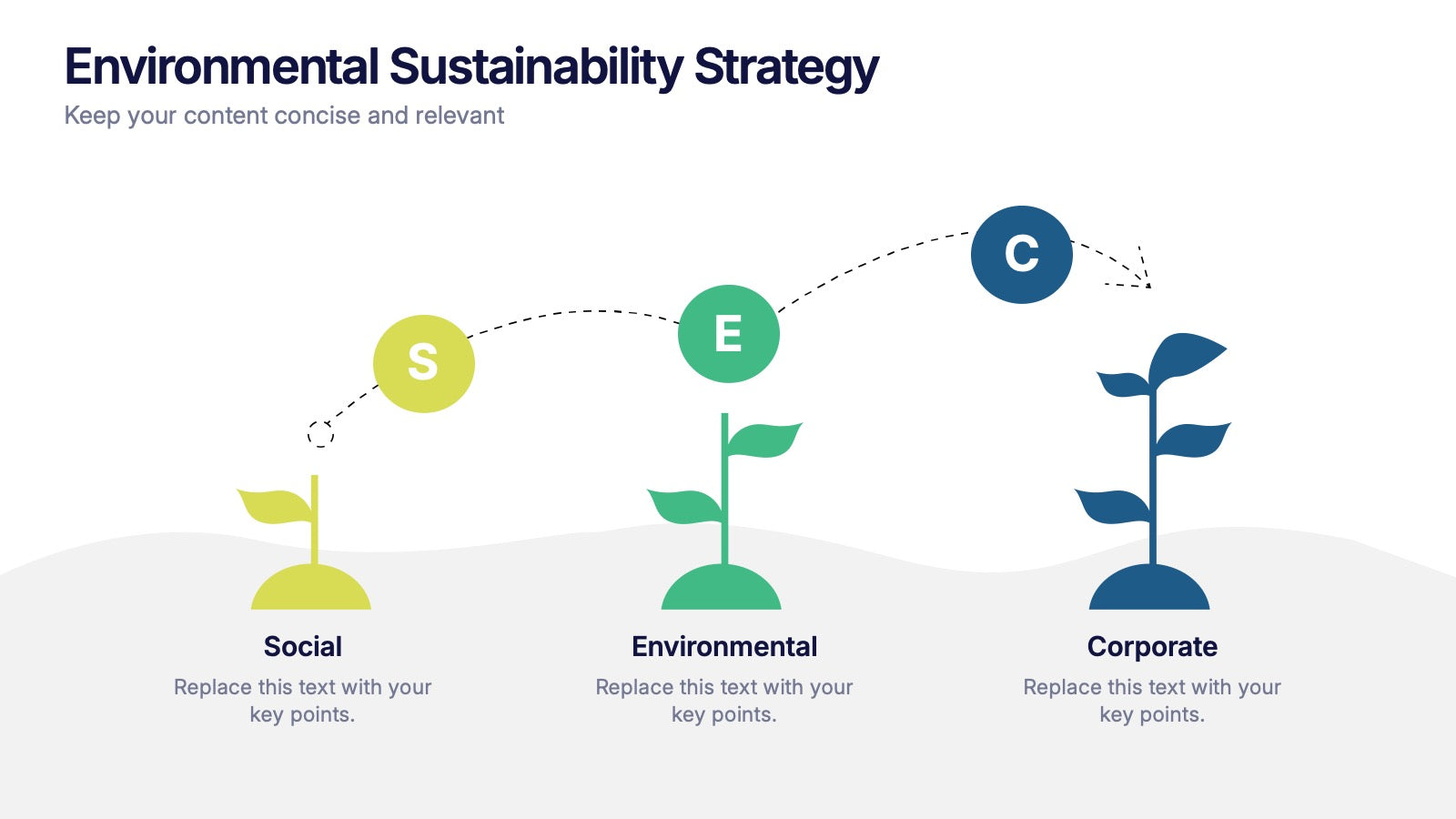 Environmental Sustainability Strategy Presentation