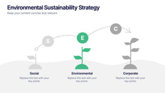 Environmental Sustainability Strategy Presentation slide 3