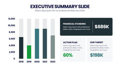 Executive Summary Infographics slide 12