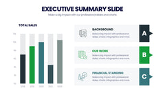 Executive Summary Infographics slide 17
