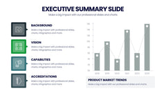 Executive Summary Infographics slide 19