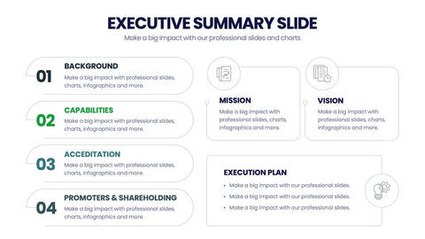 Executive Summary Infographics