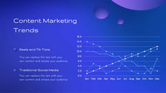 Falcon Digital Marketing Strategy Plan Presentation slide 6