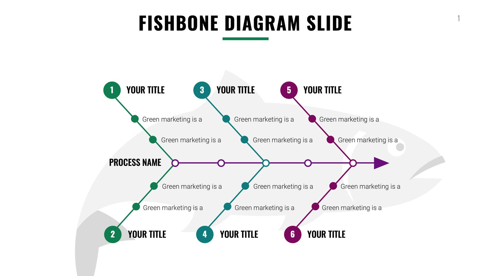 Fishbone Infographics