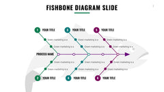 Fishbone Infographics