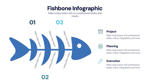 Fishbone Infographics