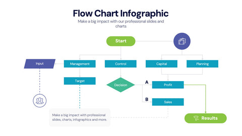 Flow Chart Infographics