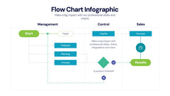 Flow Chart Infographics slide 14