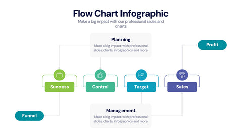 Flow Chart Infographics