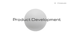 Fortuna Product Development Plan Presentation