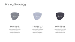 Fortuna Product Development Plan Presentation slide 11