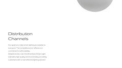 Fortuna Product Development Plan Presentation slide 12