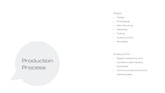 Fortuna Product Development Plan Presentation slide 17