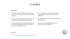Fortuna Product Development Plan Presentation slide 22