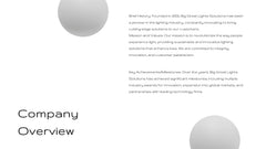 Fortuna Product Development Plan Presentation slide 3