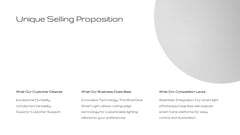 Fortuna Product Development Plan Presentation slide 6