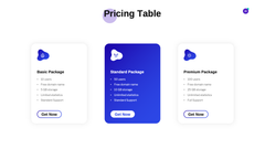 Founder Startup Presentation Template