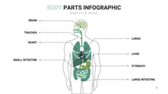 Healthcare Infographics for Medical & Patient Presentations slide 14
