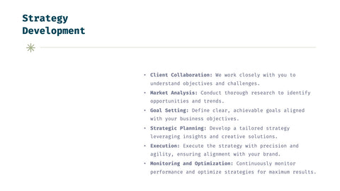 Helix Full-Service Agency Project Plan Presentation