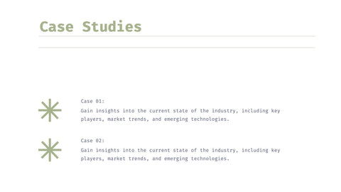 Helix Full-Service Agency Project Plan Presentation