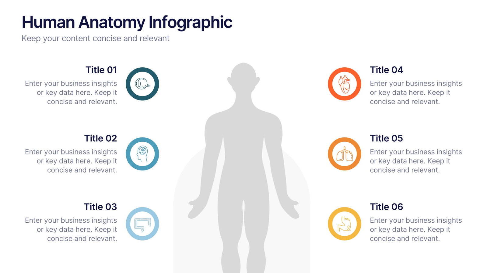 Human Anatomy Infographic Presentation