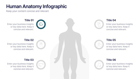 Human Anatomy Infographic Presentation