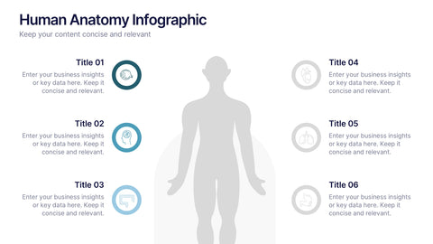 Human Anatomy Infographic Presentation