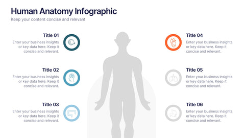 Human Anatomy Infographic Presentation