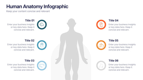 Human Anatomy Infographic Presentation