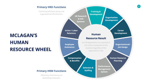 Human Resources Infographics for HR & Talent Management